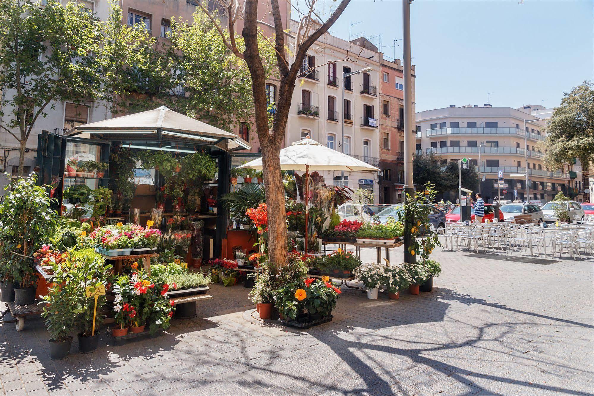 Feelathome Plaza Appartamento *